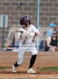Photo from the gallery "Conifer @ Golden"