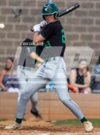 Photo from the gallery "Conifer @ Golden"