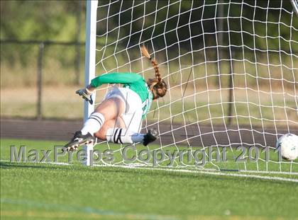 Thumbnail 1 in Freedom vs Woodgrove (District Semifinal) photogallery.