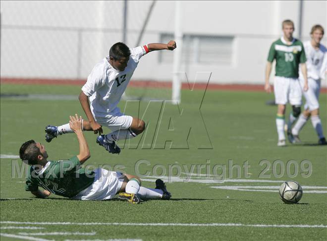 null - Photo 11