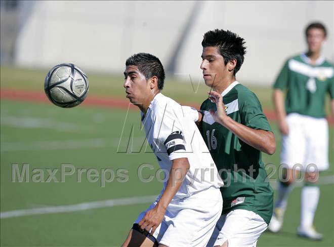 null - Photo 31