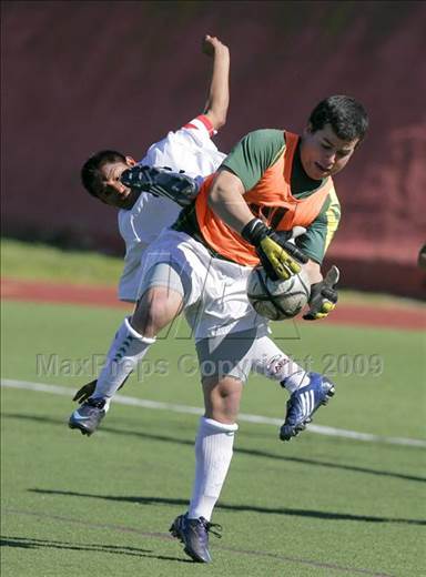 null - Photo 61