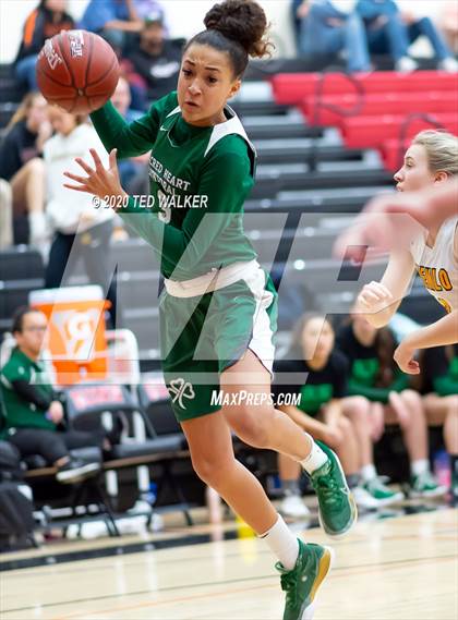 Thumbnail 3 in Sacred Heart Cathedral Preparatory vs. Menlo School (CIF CCS Open Div. Quarterfinal) photogallery.
