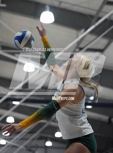 null - Photo 51