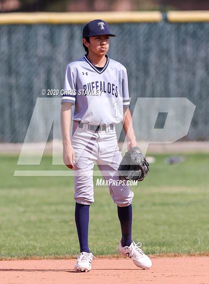 Thumbnail 1 in Tempe Baseball (Extending the Season) photogallery.