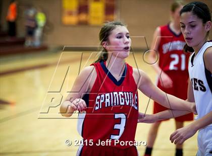 Thumbnail 3 in Springville @ Maple Mountain photogallery.