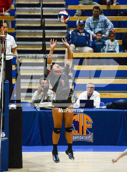 Thumbnail 1 in Archbishop Mitty vs. Mater Dei (CIF State Open Division Final) photogallery.