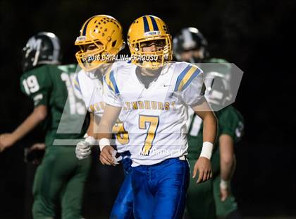 Thumbnail 3 in Lyndhurst @ New Milford photogallery.