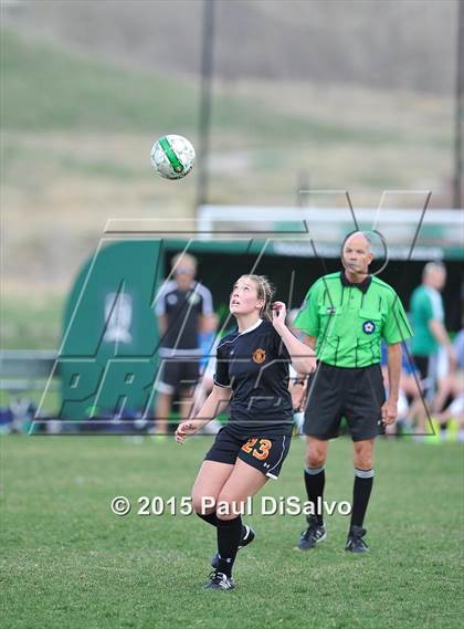 Thumbnail 2 in Castle View @ ThunderRidge photogallery.