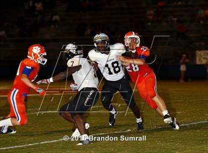 Thumbnail 2 in Wetumpka @ Chilton County photogallery.