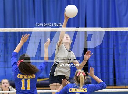 Thumbnail 2 in Vista del Lago @ Del Campo photogallery.