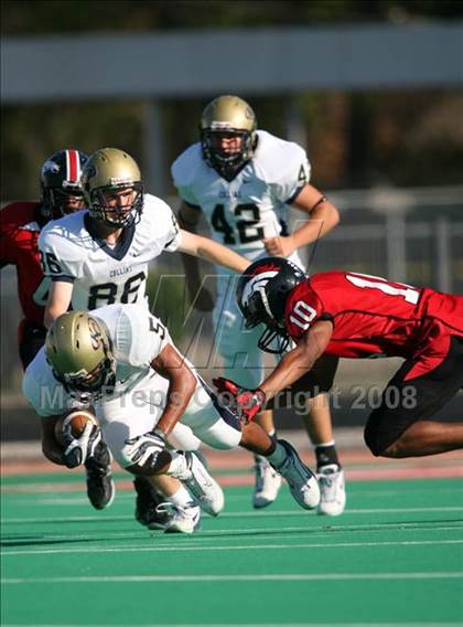 Thumbnail 3 in Klein Collins @ Westfield photogallery.