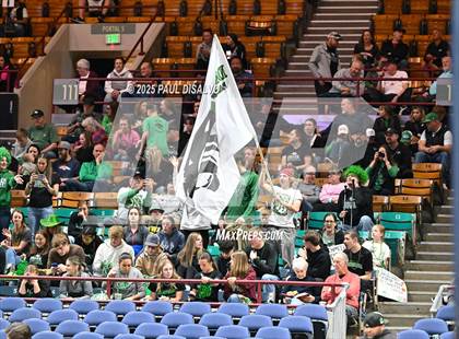 Thumbnail 3 in Delta vs. University (CHSAA 4A State Final) photogallery.