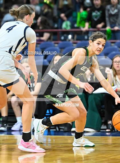 Thumbnail 1 in Delta vs. University (CHSAA 4A State Final) photogallery.