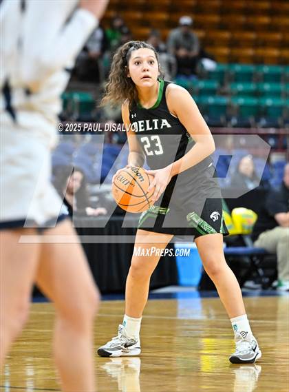 Thumbnail 1 in Delta vs. University (CHSAA 4A State Final) photogallery.