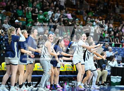 Thumbnail 1 in Delta vs. University (CHSAA 4A State Final) photogallery.