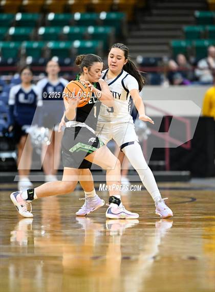 Thumbnail 2 in Delta vs. University (CHSAA 4A State Final) photogallery.