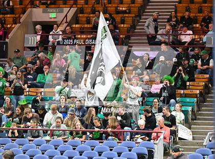 Thumbnail 2 in Delta vs. University (CHSAA 4A State Final) photogallery.