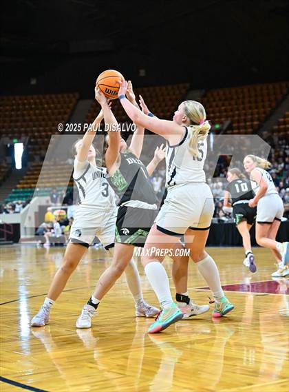 Thumbnail 2 in Delta vs. University (CHSAA 4A State Final) photogallery.
