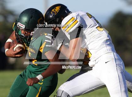 Thumbnail 3 in Terra Nova @ Capuchino photogallery.
