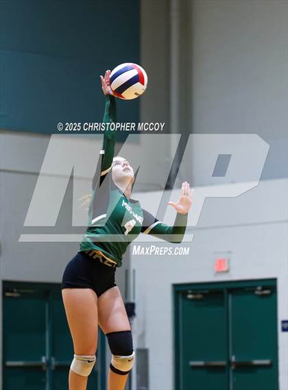 Thumbnail 1 in Manatee @ Lakewood Ranch photogallery.