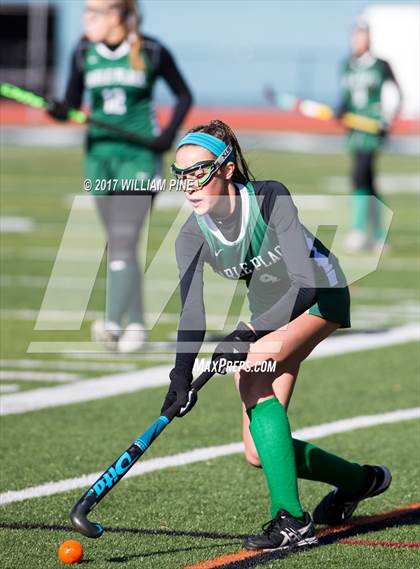 Thumbnail 1 in Carle Place vs. Schuylerville (NYSPHSAA Class C Semifinal) photogallery.