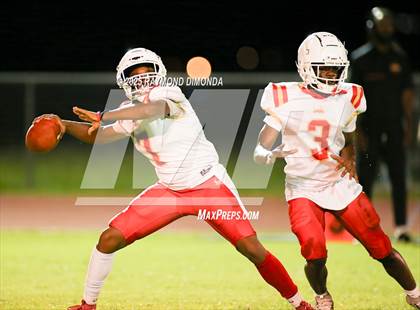 Thumbnail 3 in McLaughlin @ Lake Minneola photogallery.