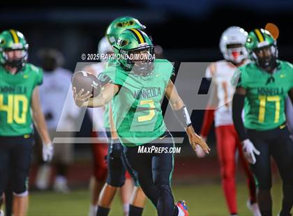 Thumbnail 1 in McLaughlin @ Lake Minneola photogallery.