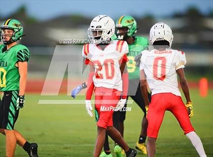 Thumbnail 3 in McLaughlin @ Lake Minneola photogallery.