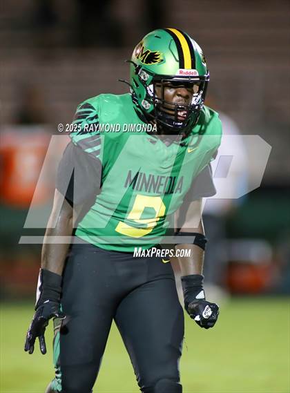 Thumbnail 3 in McLaughlin @ Lake Minneola photogallery.