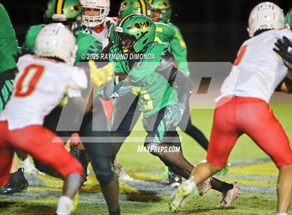 Thumbnail 3 in McLaughlin @ Lake Minneola photogallery.