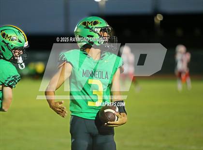 Thumbnail 3 in McLaughlin @ Lake Minneola photogallery.