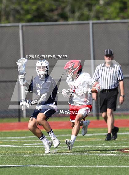 Thumbnail 2 in Greenwich vs. Staples (CIAC Class L 1st Round) photogallery.