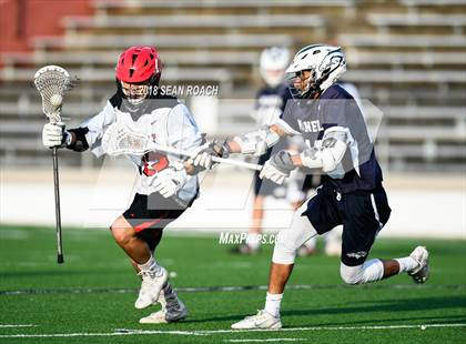 Thumbnail 2 in Bowie @ McNeil photogallery.