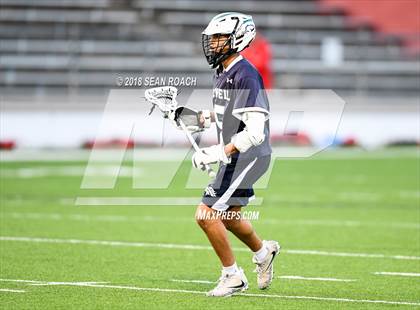 Thumbnail 3 in Bowie @ McNeil photogallery.