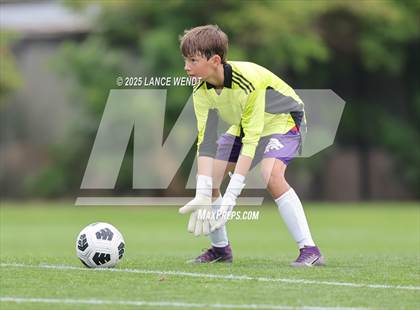 Thumbnail 2 in Littleton @ Columbine photogallery.