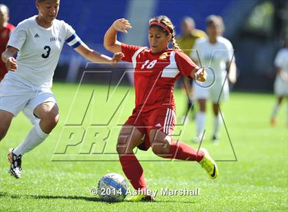 Thumbnail 3 in Kearny vs. Harrison (@ Red Bull Arena) photogallery.