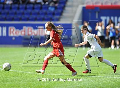 Thumbnail 2 in Kearny vs. Harrison (@ Red Bull Arena) photogallery.