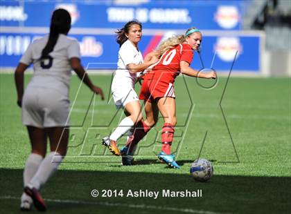 Thumbnail 2 in Kearny vs. Harrison (@ Red Bull Arena) photogallery.