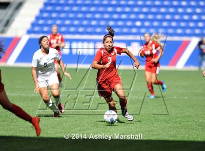 Thumbnail 1 in Kearny vs. Harrison (@ Red Bull Arena) photogallery.