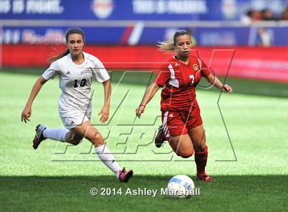 Thumbnail 1 in Kearny vs. Harrison (@ Red Bull Arena) photogallery.