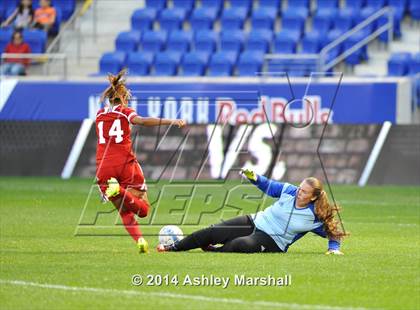 Thumbnail 1 in Kearny vs. Harrison (@ Red Bull Arena) photogallery.