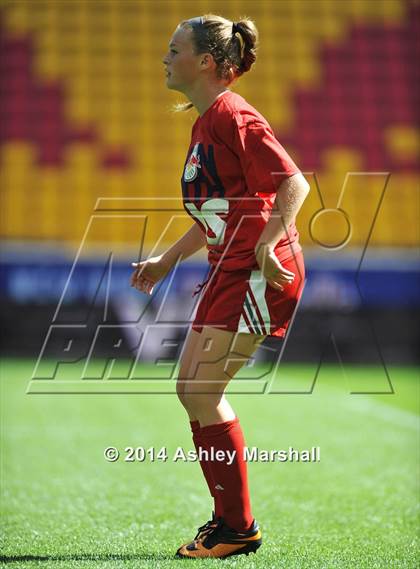 Thumbnail 2 in Kearny vs. Harrison (@ Red Bull Arena) photogallery.