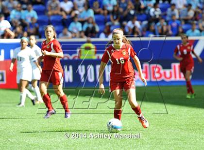 Thumbnail 1 in Kearny vs. Harrison (@ Red Bull Arena) photogallery.
