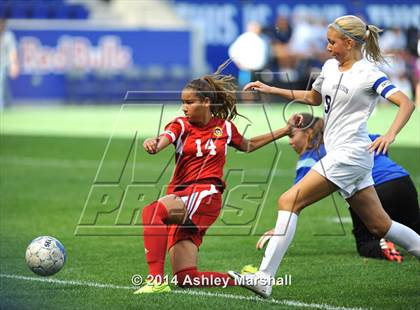 Thumbnail 2 in Kearny vs. Harrison (@ Red Bull Arena) photogallery.