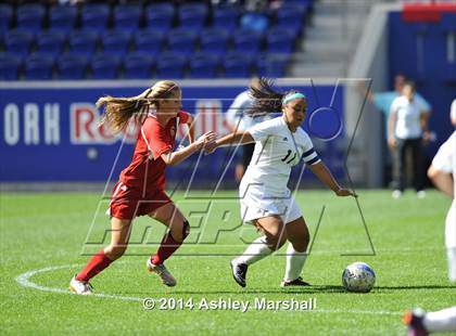 Thumbnail 2 in Kearny vs. Harrison (@ Red Bull Arena) photogallery.