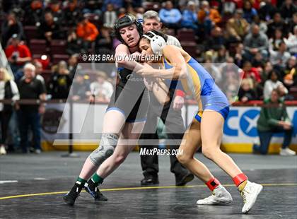 Thumbnail 1 in PIAA Girls Wrestling Championships photogallery.