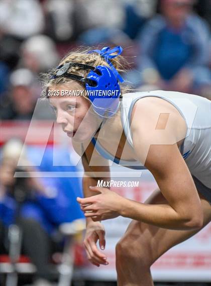 Thumbnail 3 in PIAA Girls Wrestling Championships photogallery.
