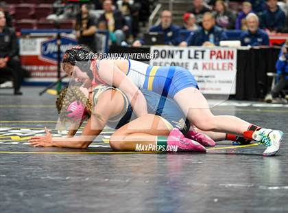 Thumbnail 3 in PIAA Girls Wrestling Championships photogallery.
