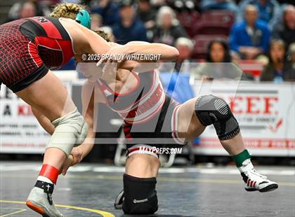 Thumbnail 1 in PIAA Girls Wrestling Championships photogallery.